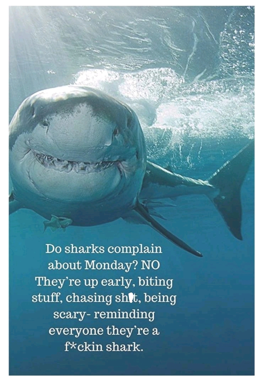Screenshot_20240805_113559_LinkedIn.jpg