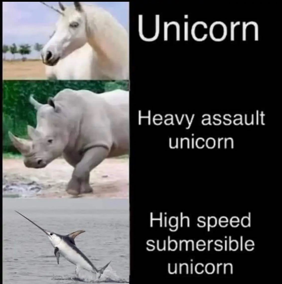 1723592852513.png