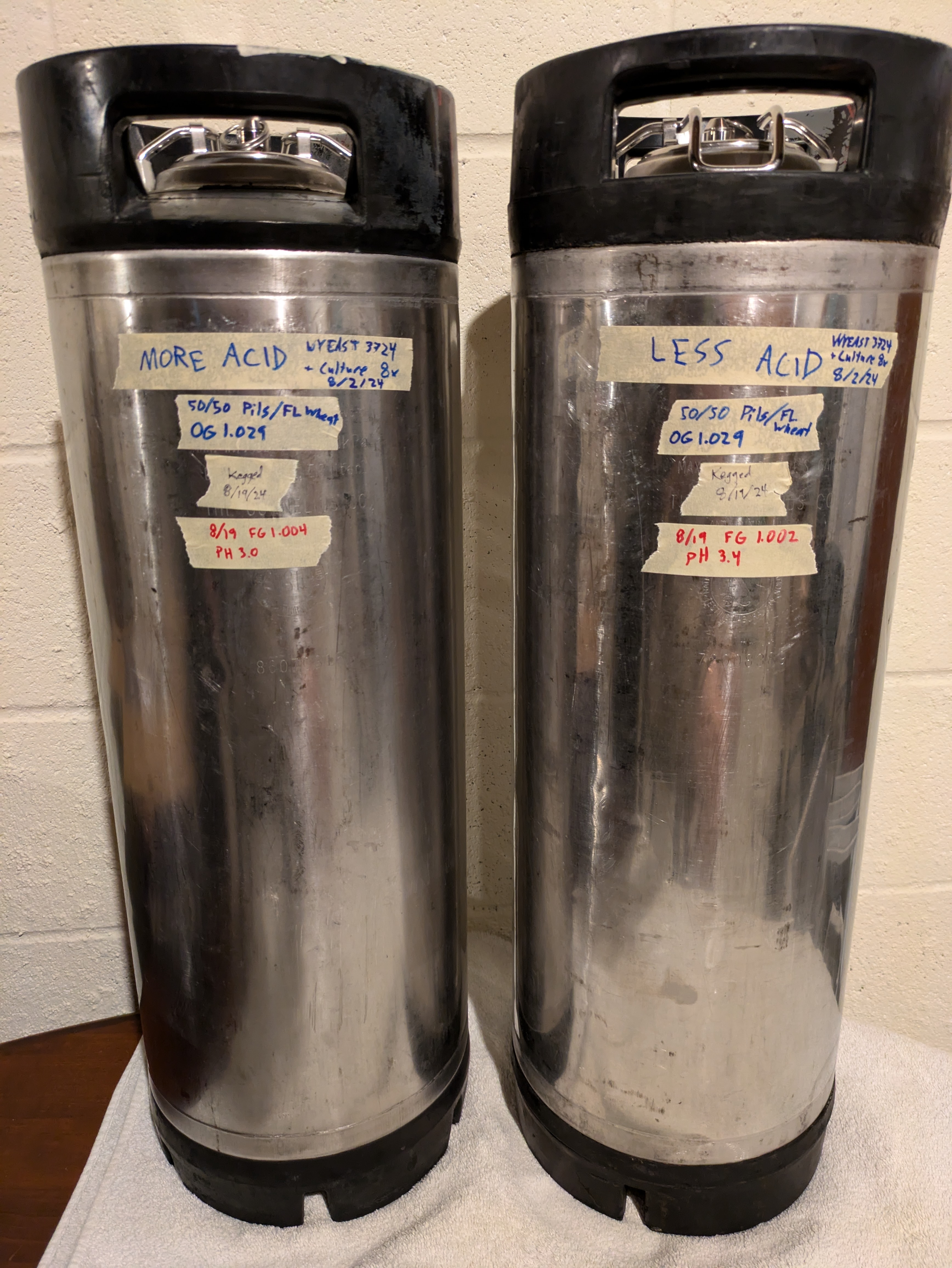 PXL_20240819_171231212.jpg
