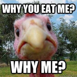 why you eat me.jpeg