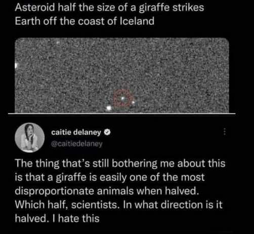 1725192481912.png