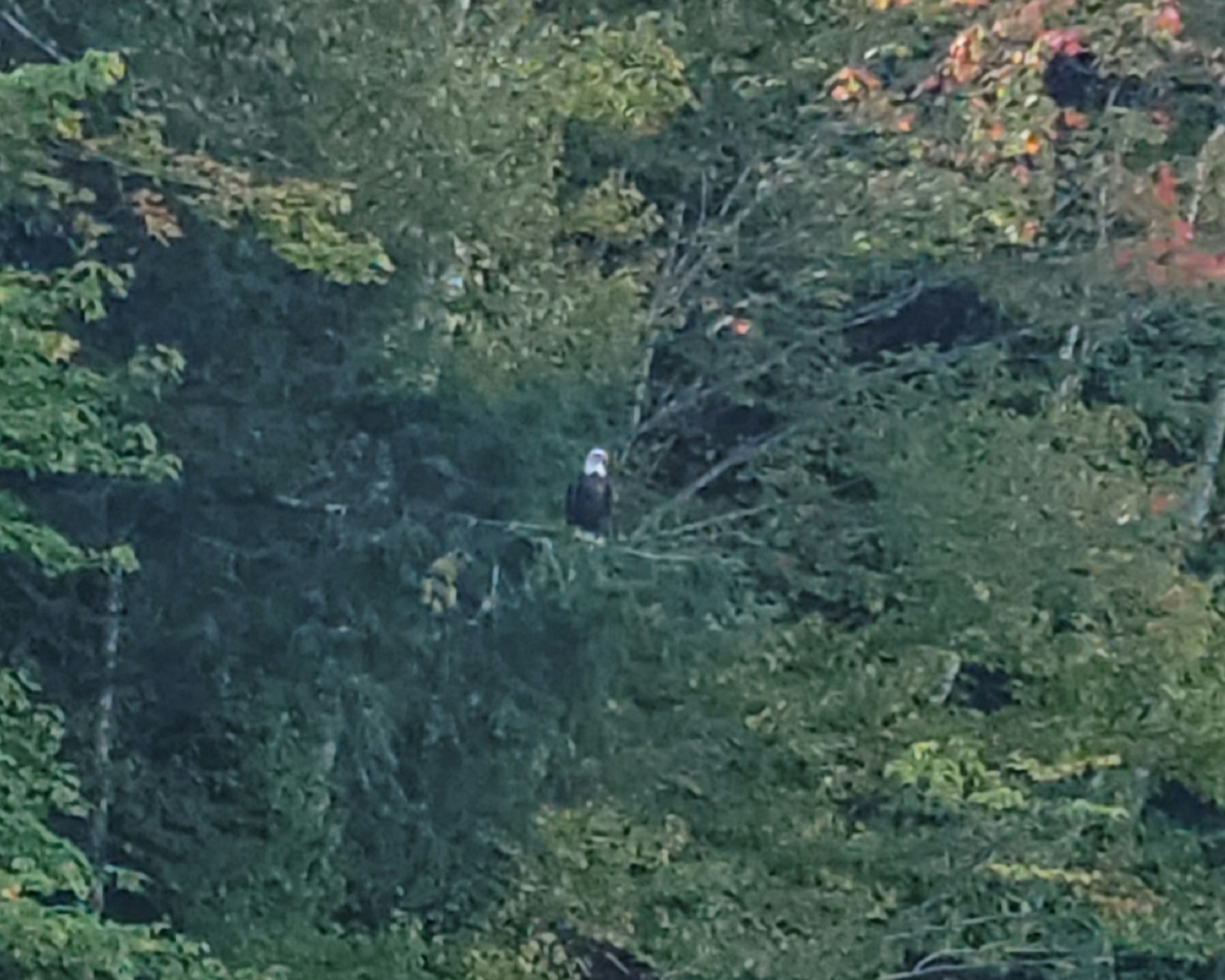20240917_173607.jpg