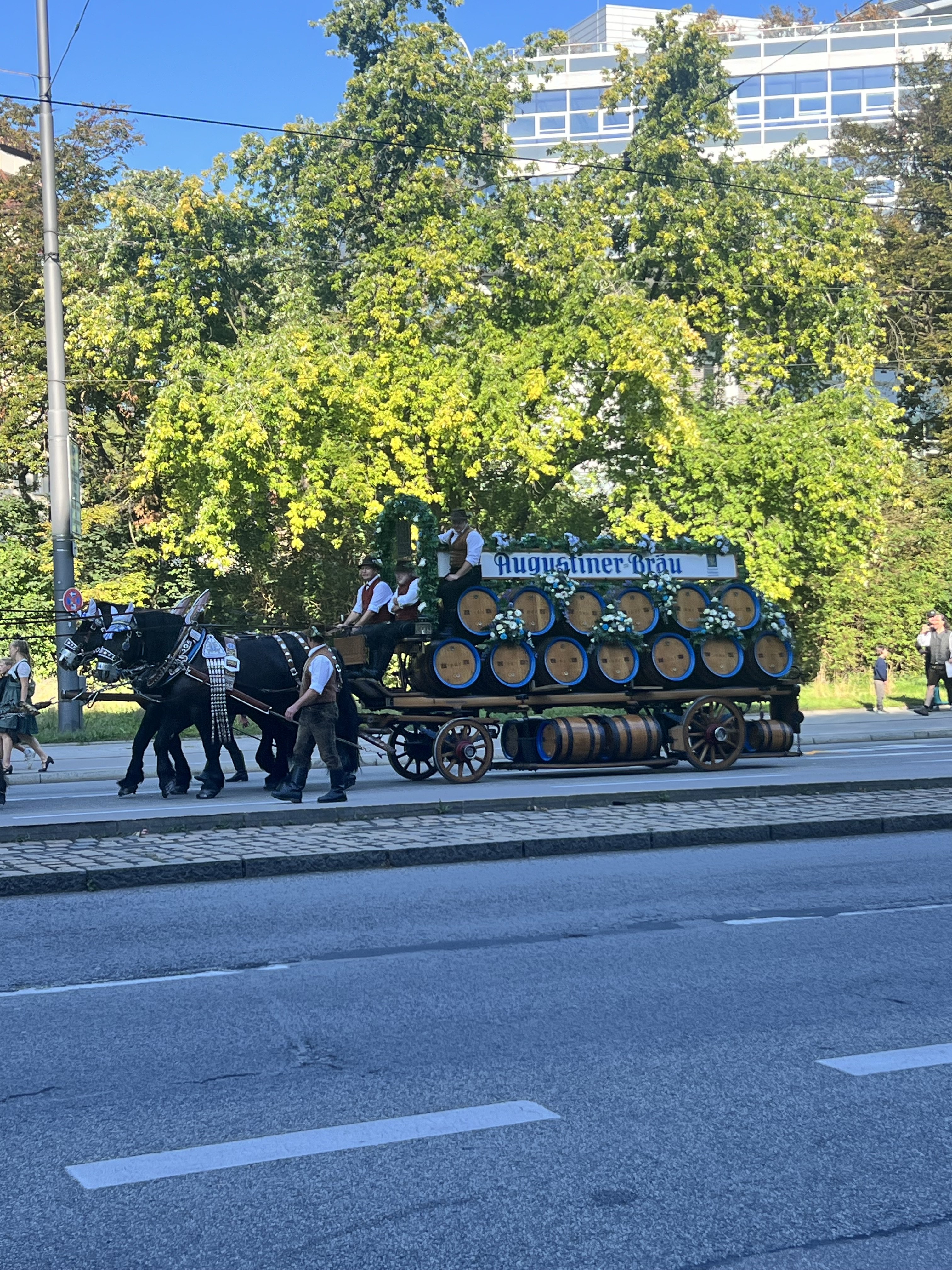 IMG_1969.jpeg