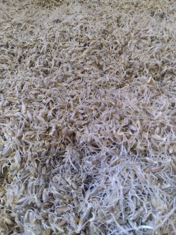 20241014_123620.jpg