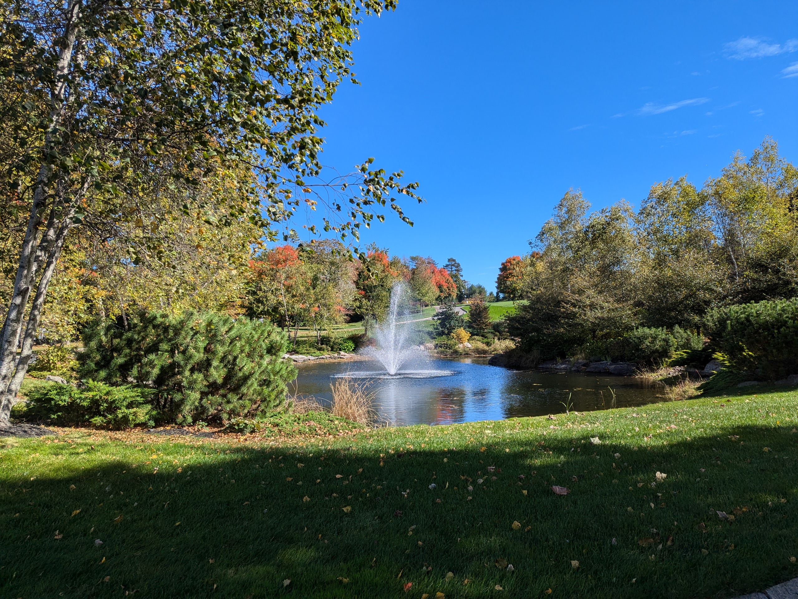 PXL_20241011_152352153.jpg
