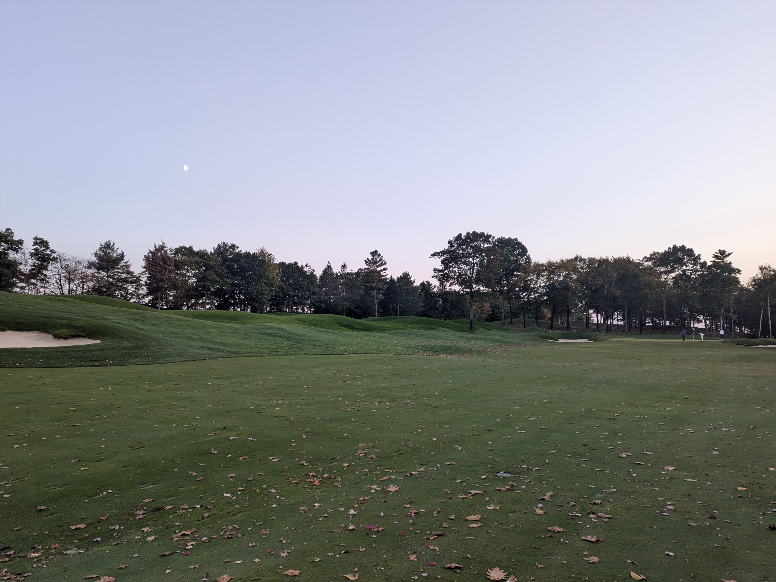 PXL_20241011_220231606.jpg