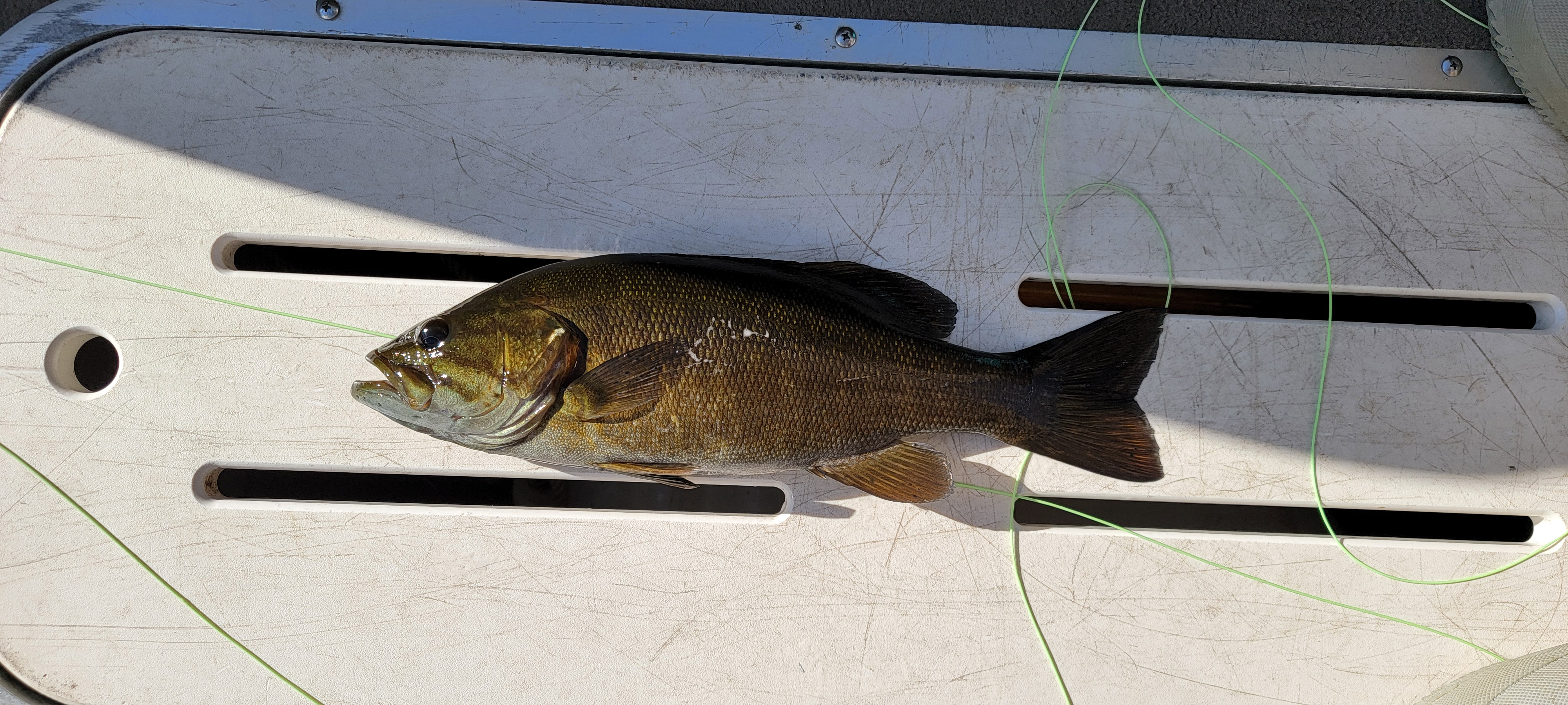 fishing_20oct2024_3.jpg