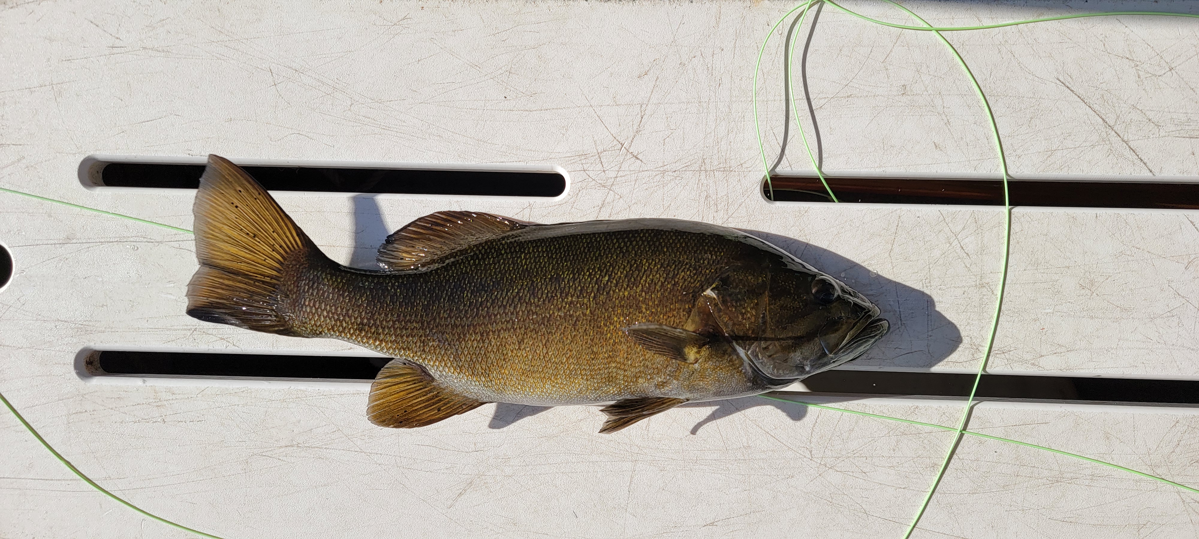 fishing_20oct2024_4.jpg