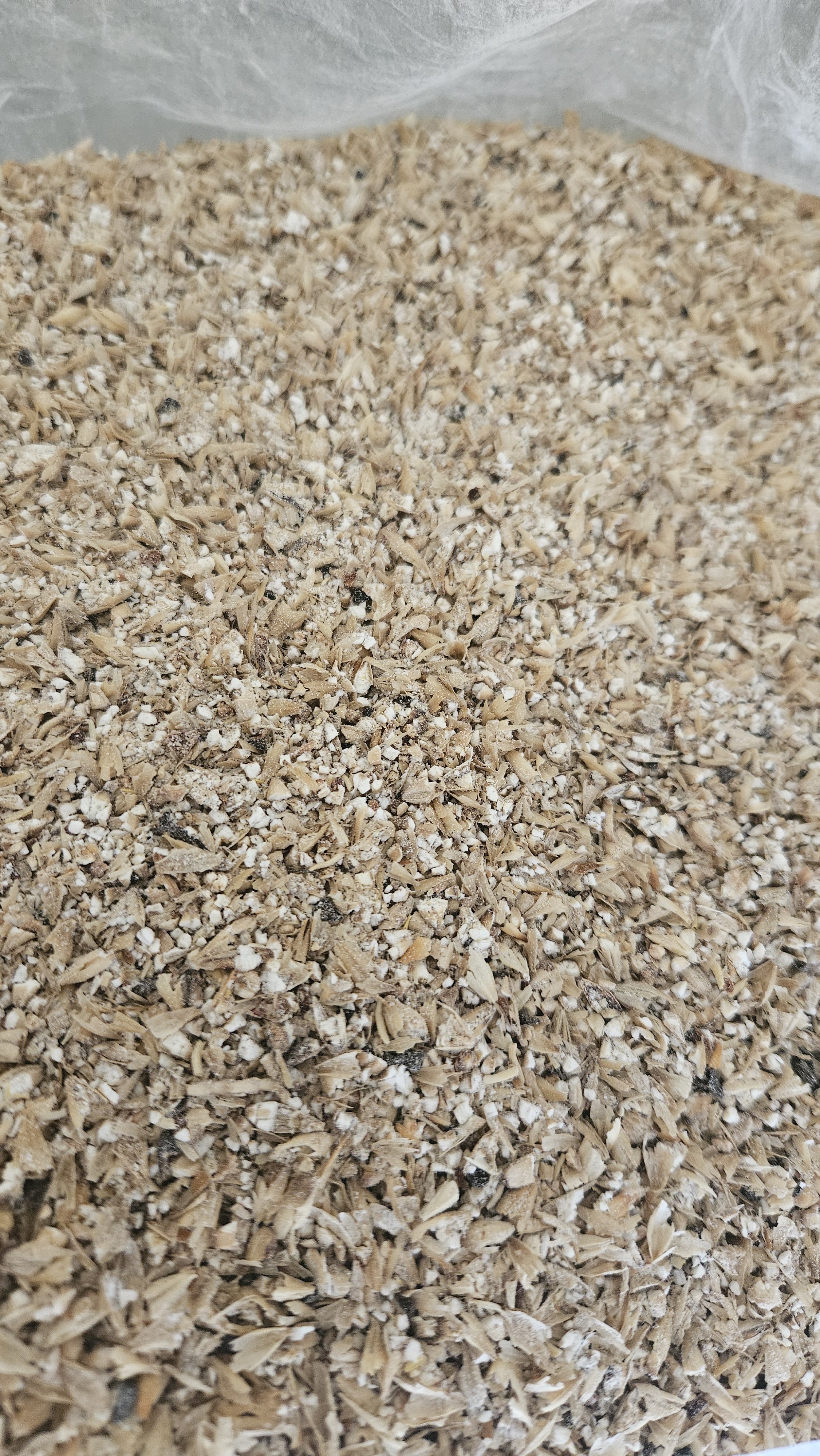 20241023_092802.jpg