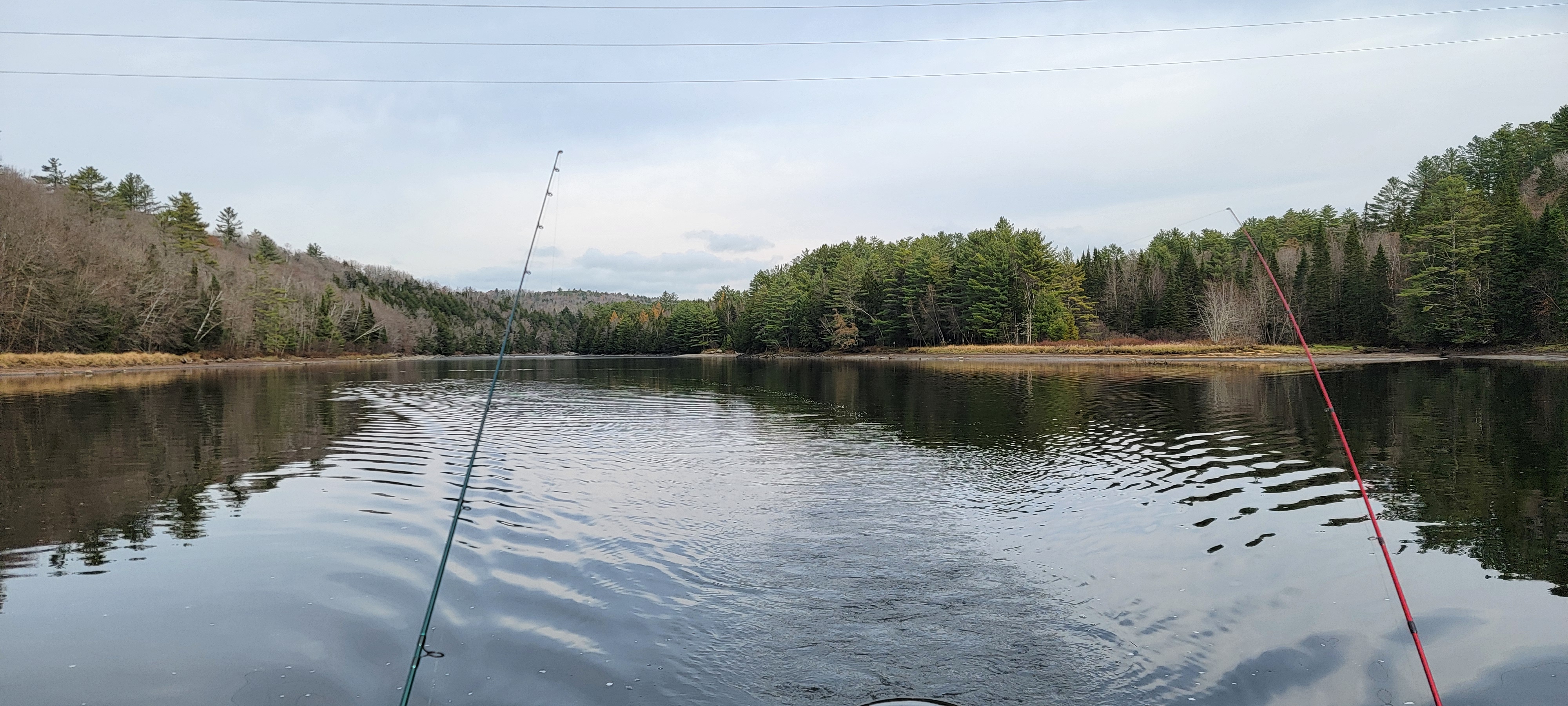 20241030_131944.jpg