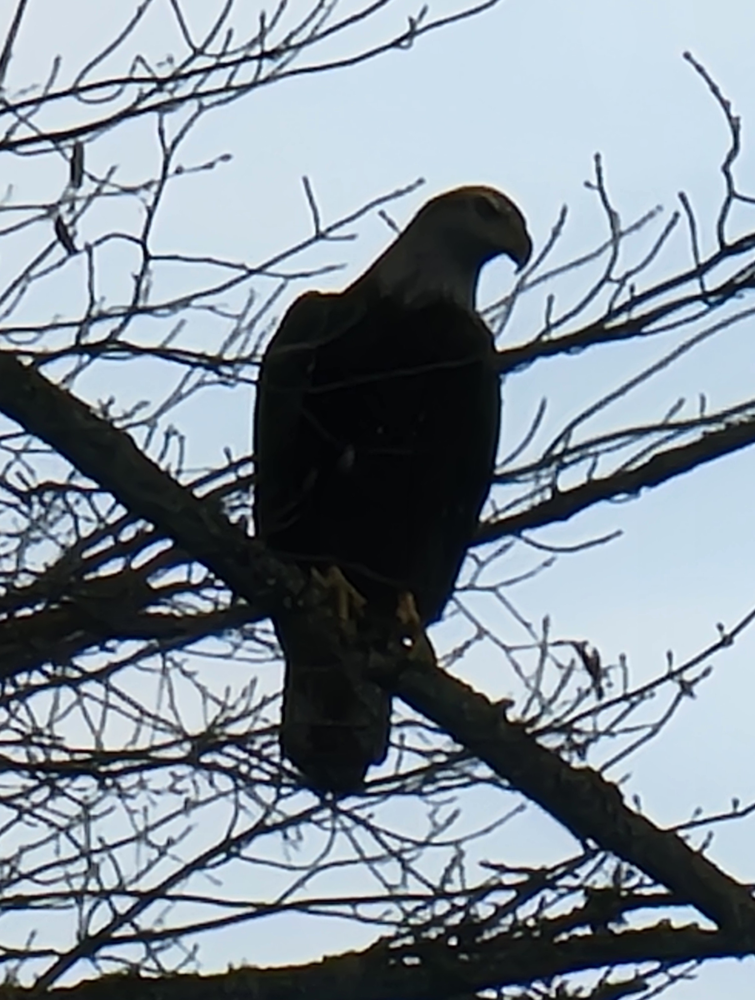 20241030_144205.jpg