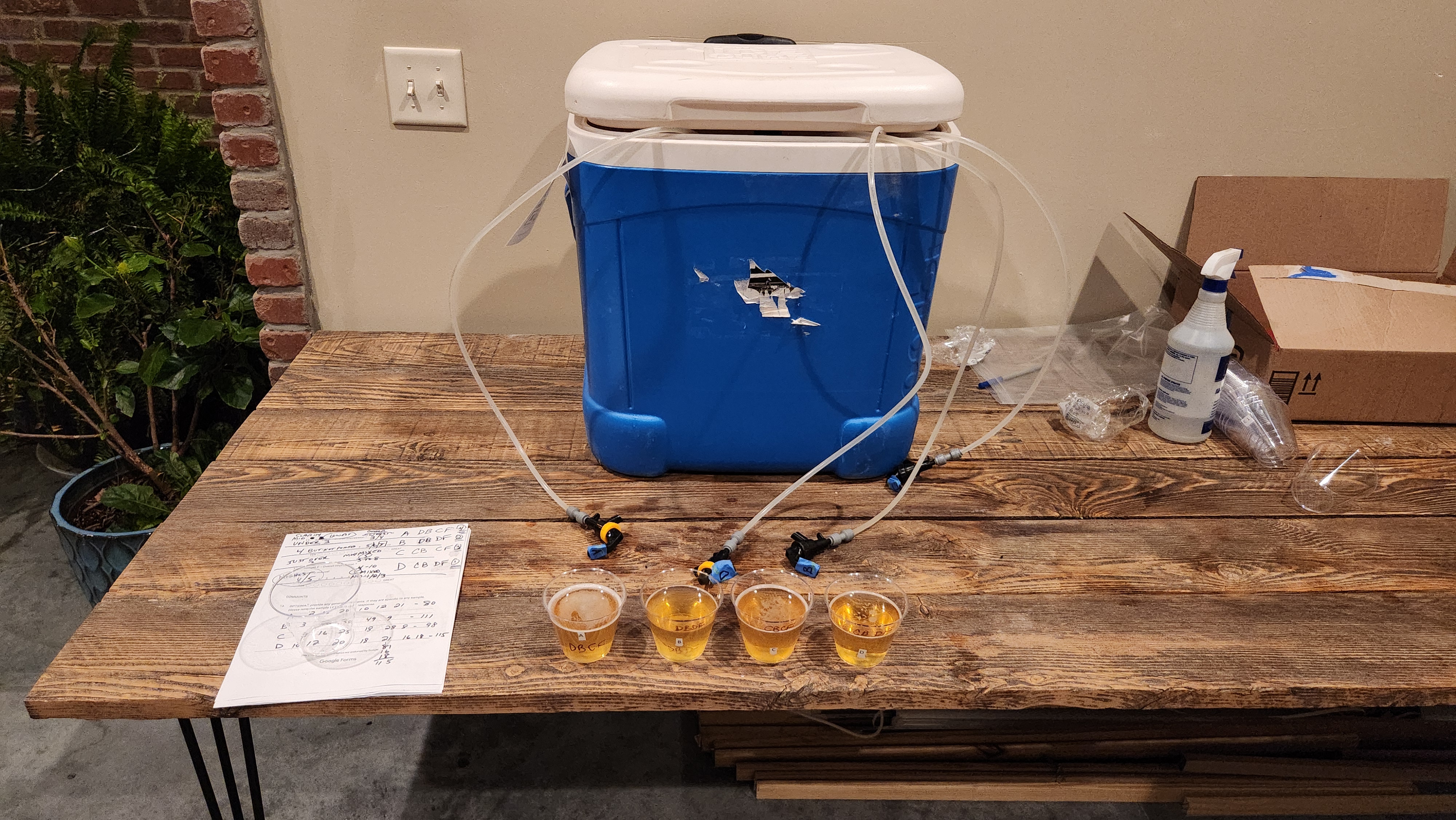 TASTING3.jpg TASTING3.jpg