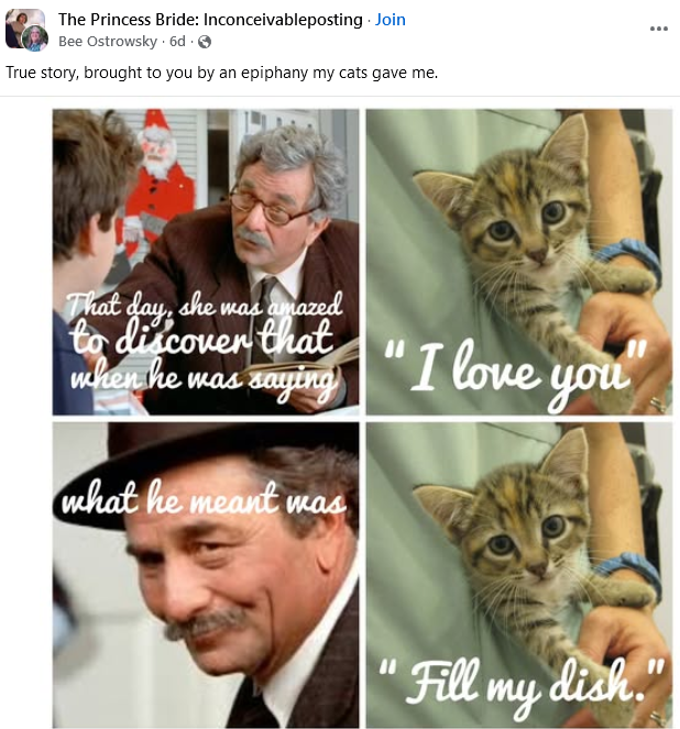 1732454155939.png