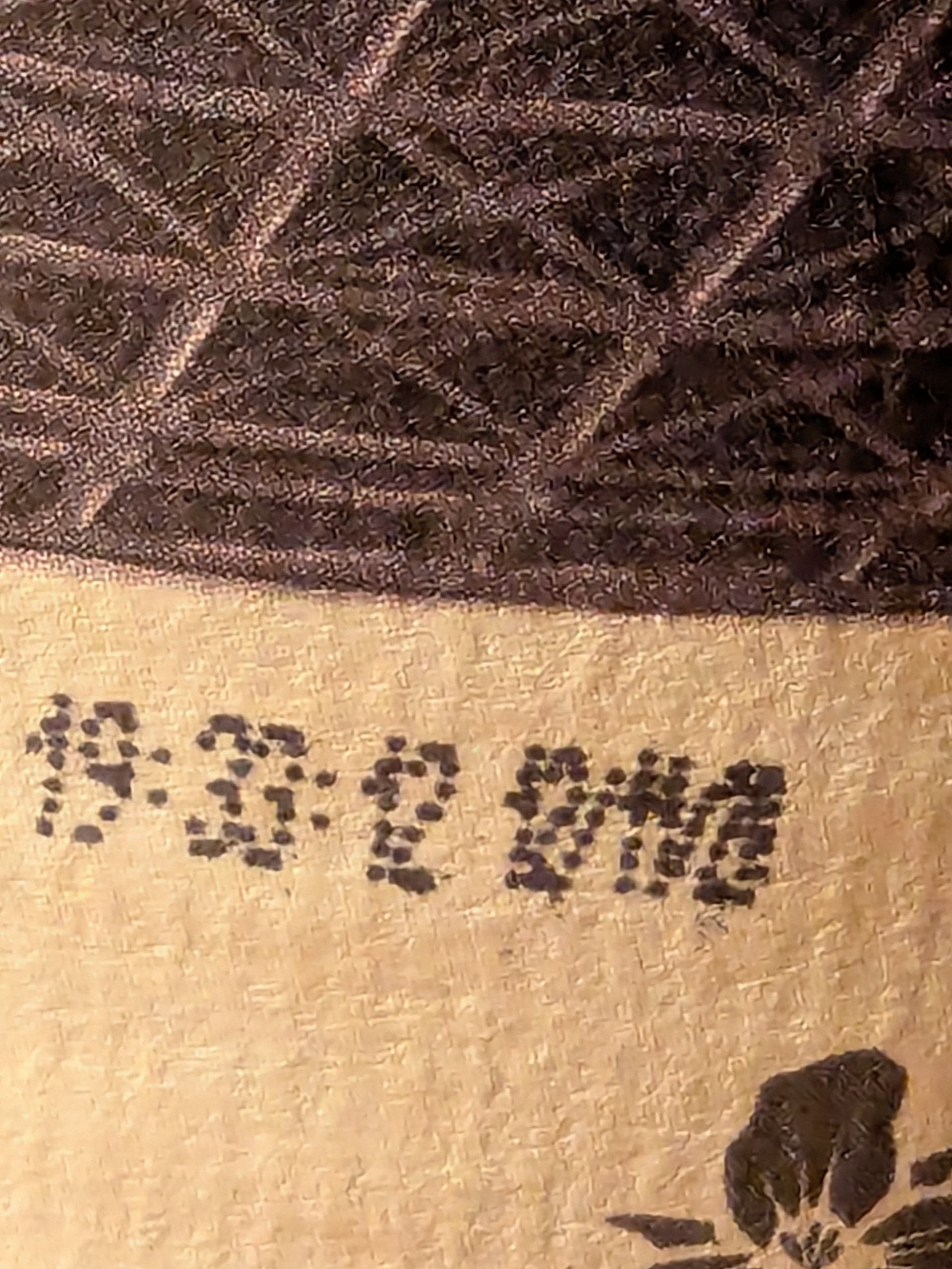 PXL_20241125_003310210.jpg