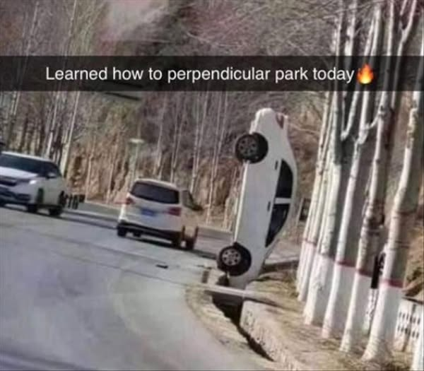 1732535522858.png
