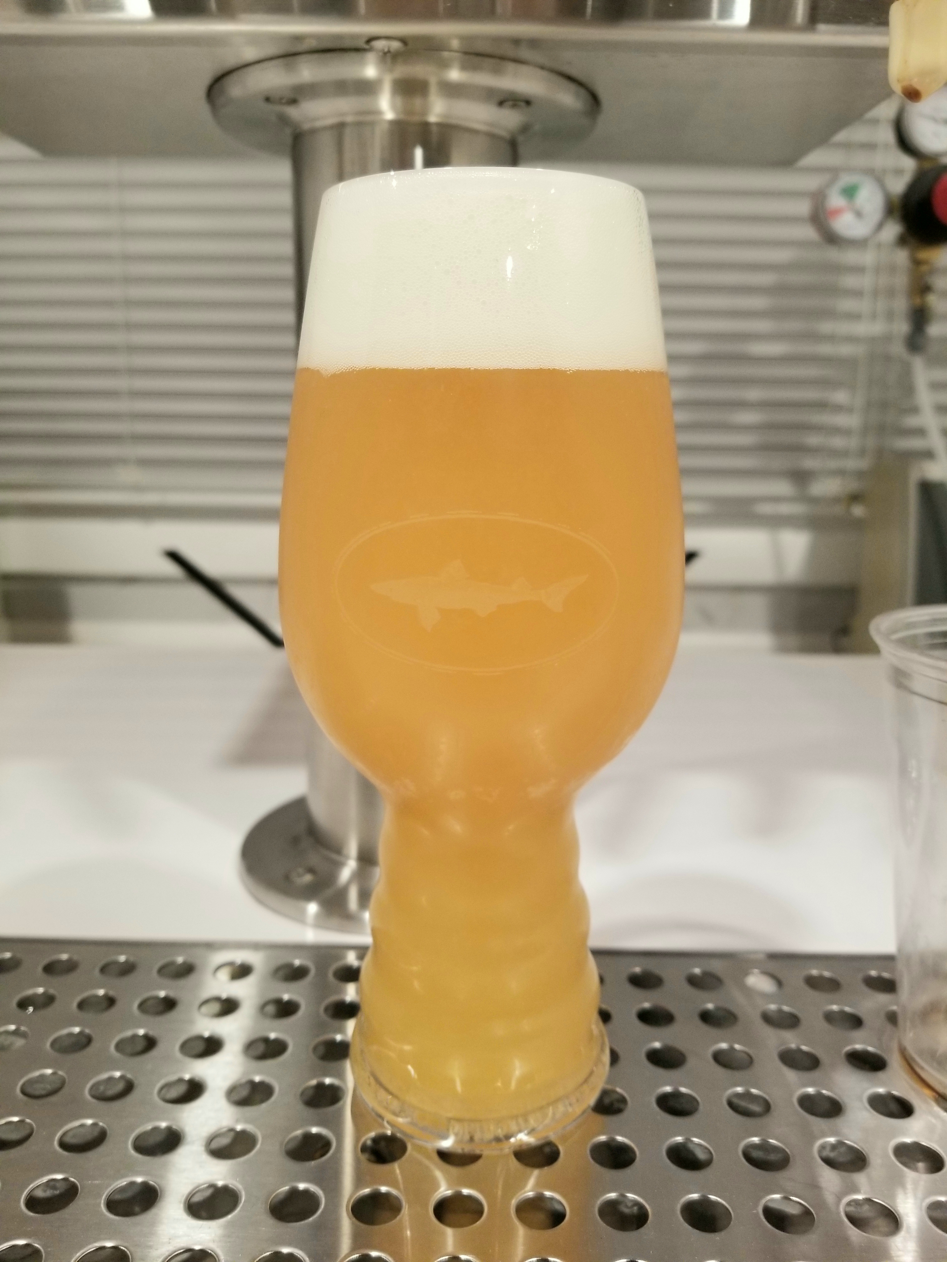 fantastic_haze_25nov2024.jpg