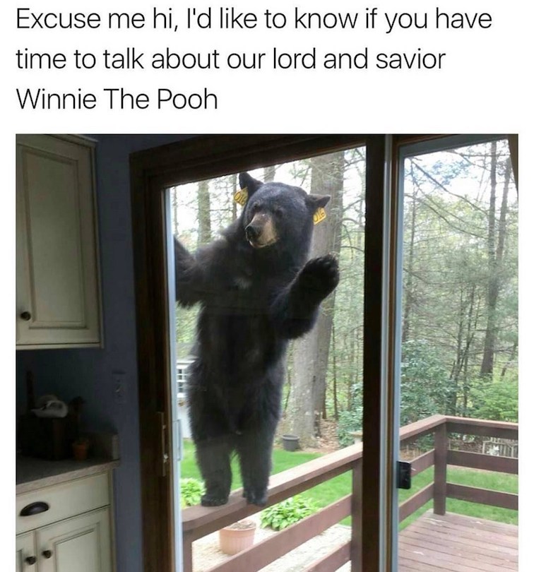 PoohSaviour.jpeg