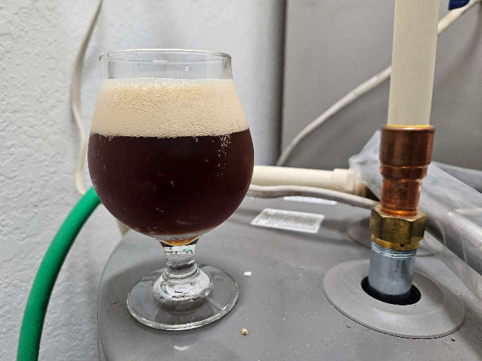 24 12 20 happy halfwit christmas ale in tulip small.jpg