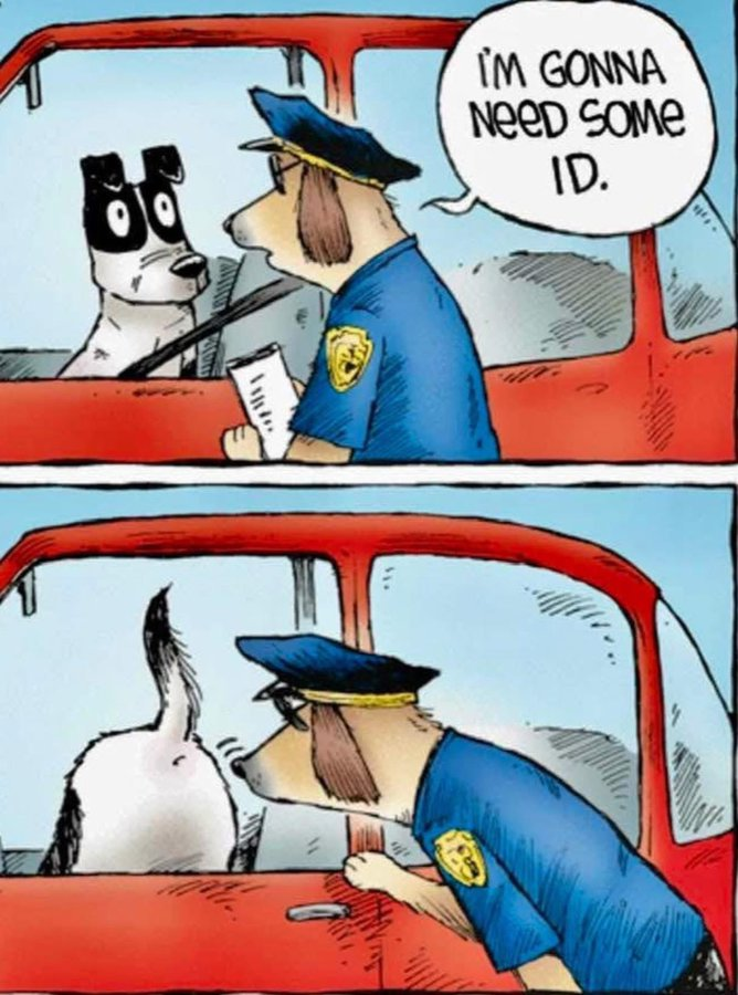 1735818996371.png