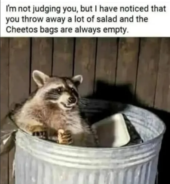 1736105644301.png