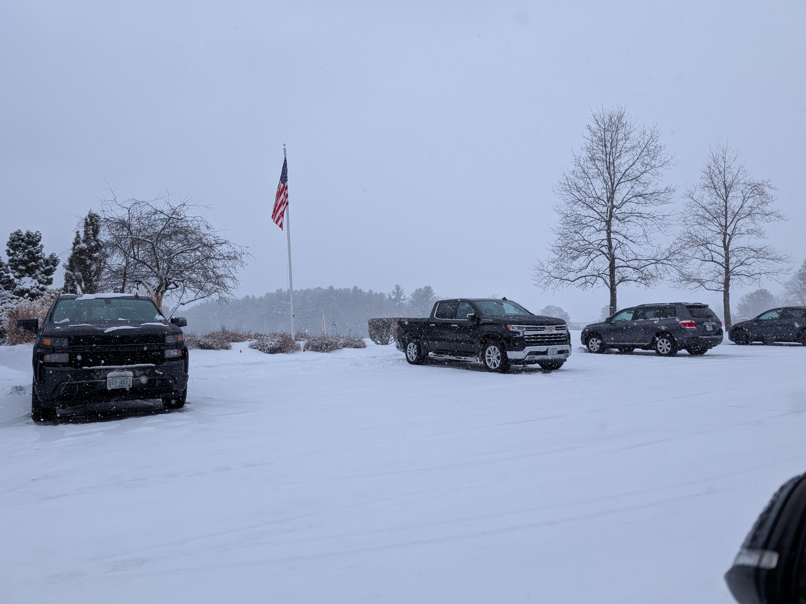 PXL_20250111_175112955.jpg