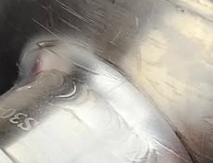 1738686207012.png