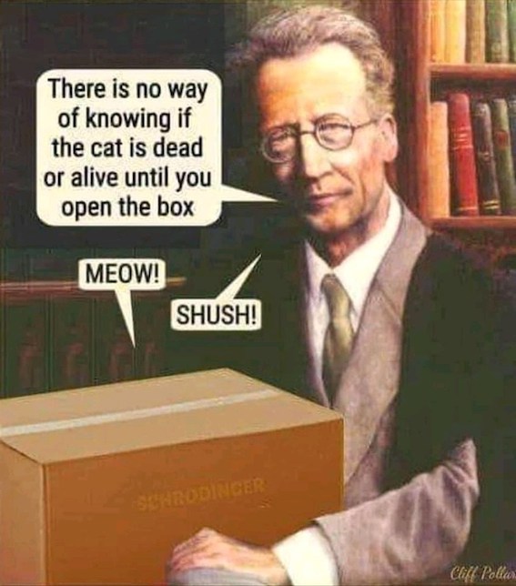 SchrodShush.jpeg