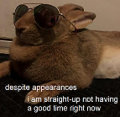 bafkreiaoeoxcgy6w33gdnozrrphwdrlaqligk4xqqsbxglmgw6bdchp6ia.jpg