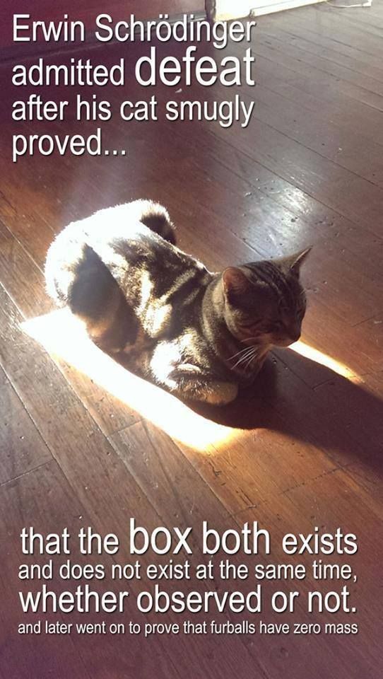 SchrodingersCat-box.jpeg
