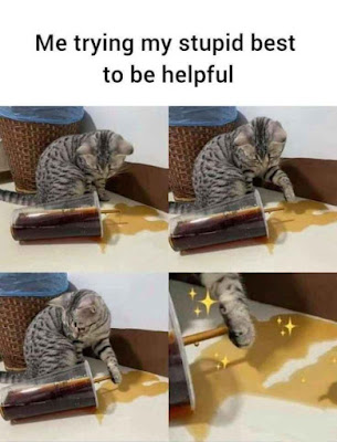 bafkreiaxtcnwyafjtmrqbeudkvxsrppzftl5l7wghqes7lbhu2nmig65mu.jpg