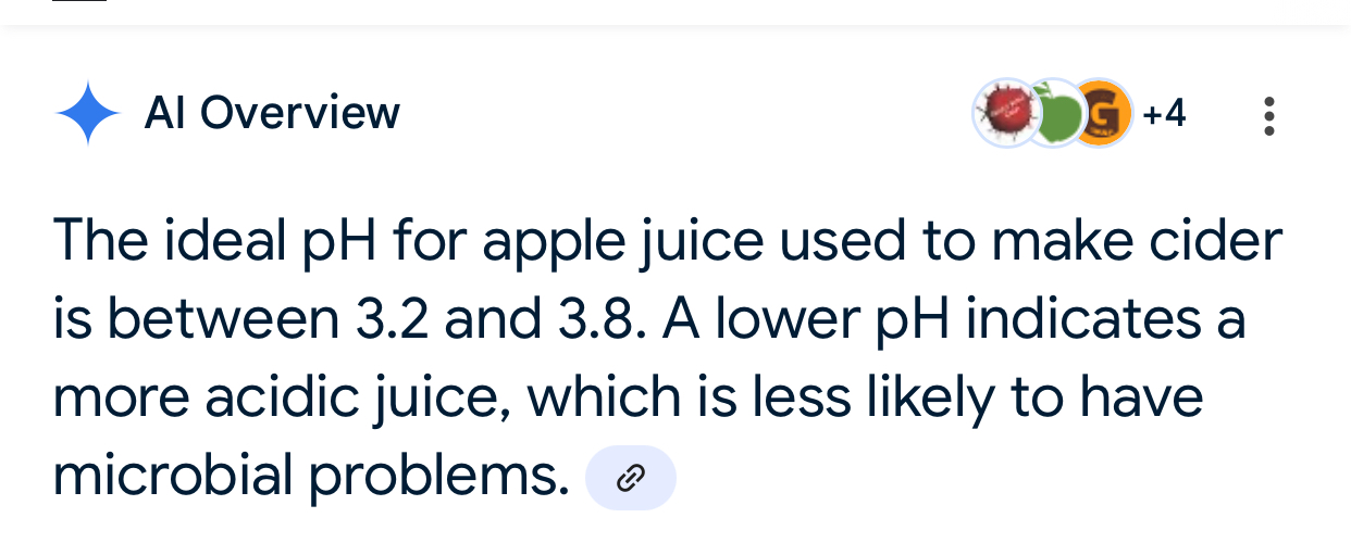 image3.jpeg