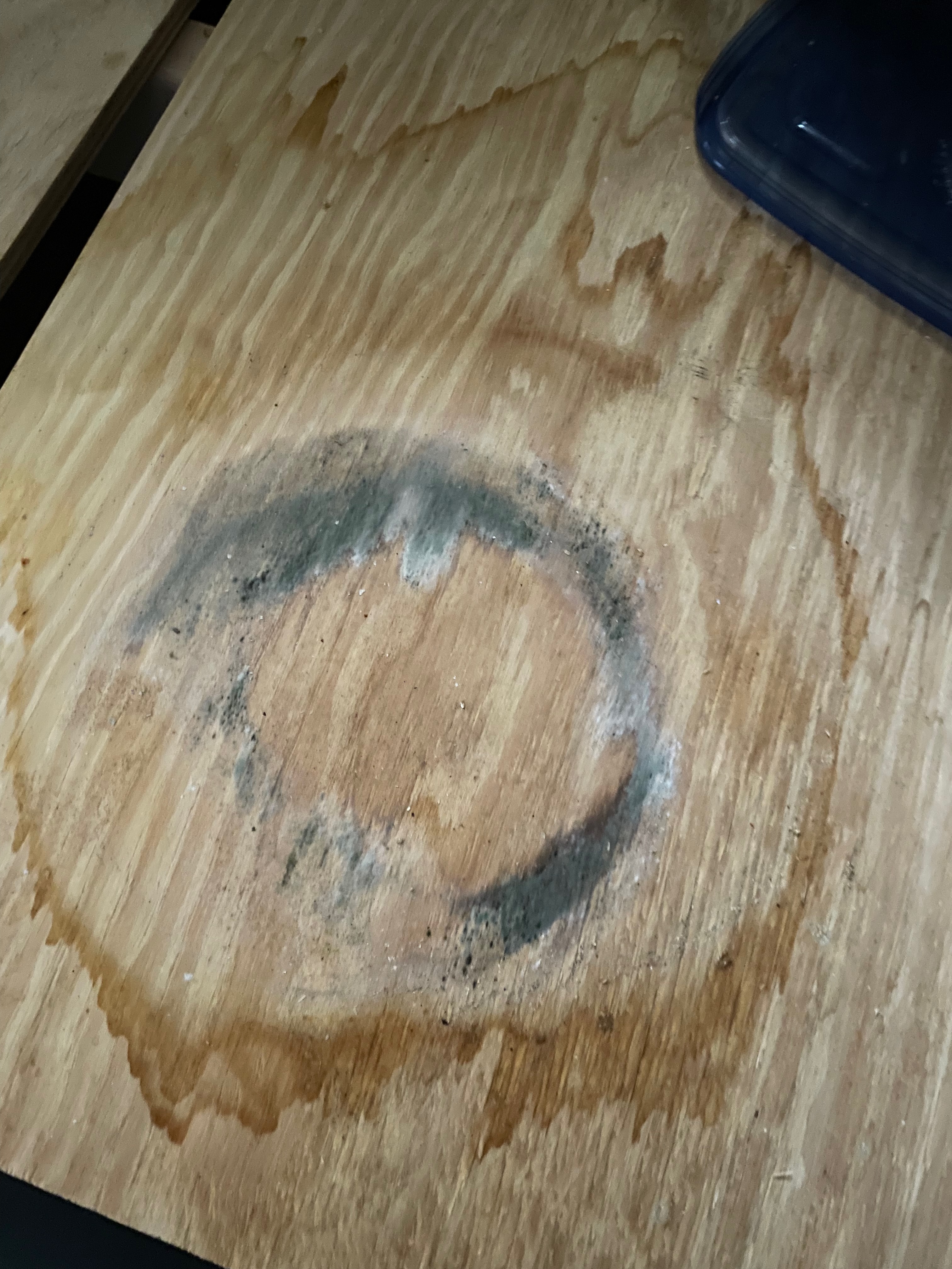 Mold - 1.jpeg Mold - 1.jpeg