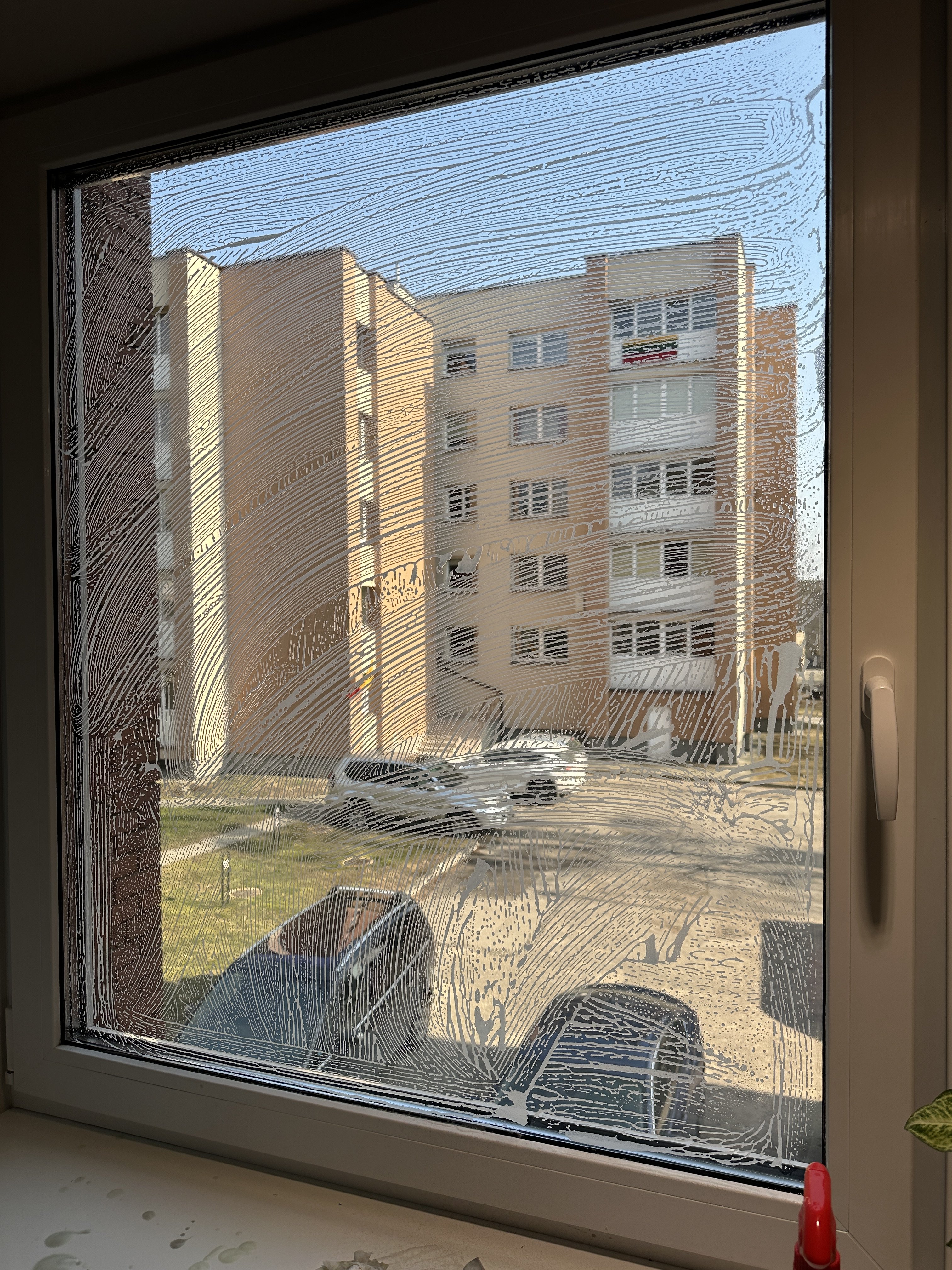 IMG_6341.jpeg
