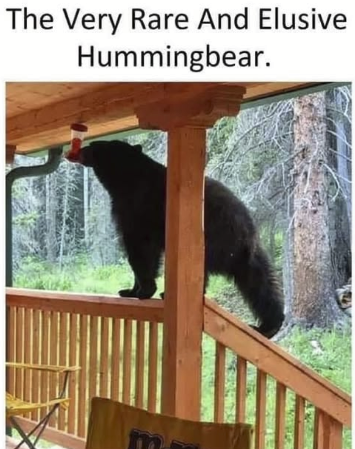 1741798674152.png