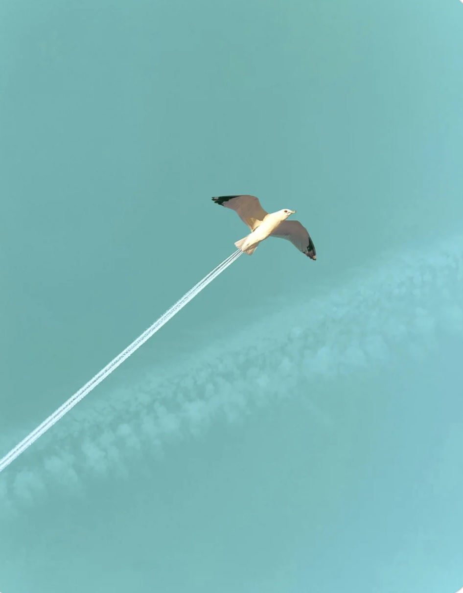 Screenshot_20250314_180856_Reddit.jpg