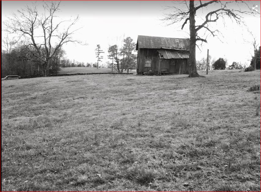 black and white back of pollard cabin.JPG