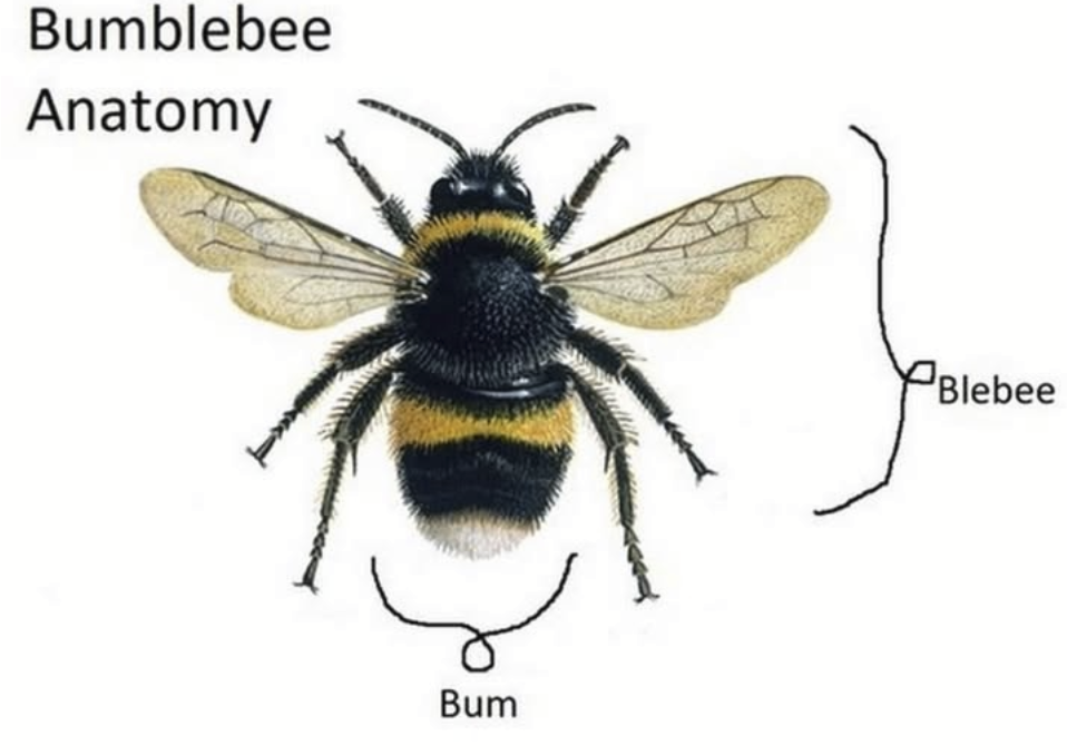 1742607221200.png