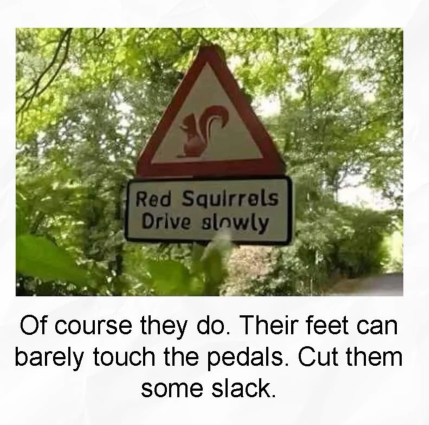 1743030899325.png