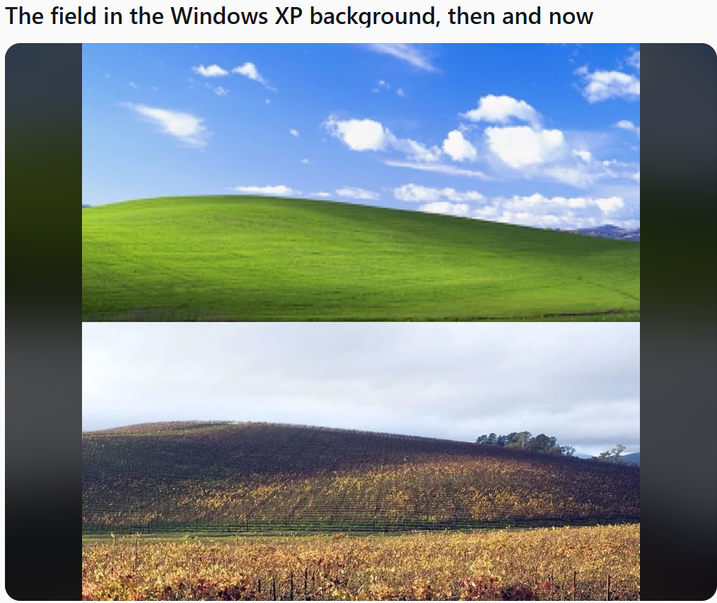 1743053637406.png