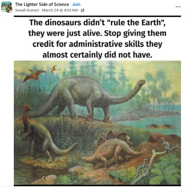 1743077135216.png