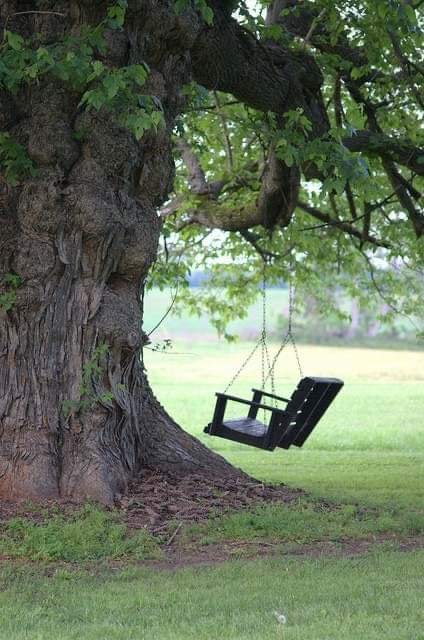 porch swing.jpg