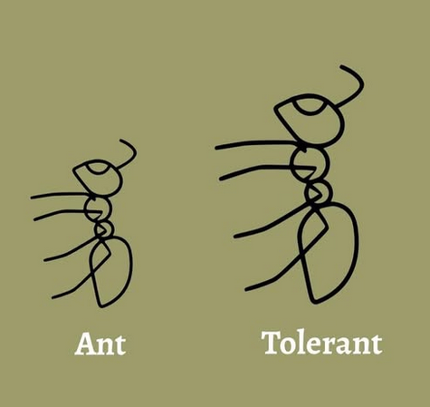 1743365527757.png