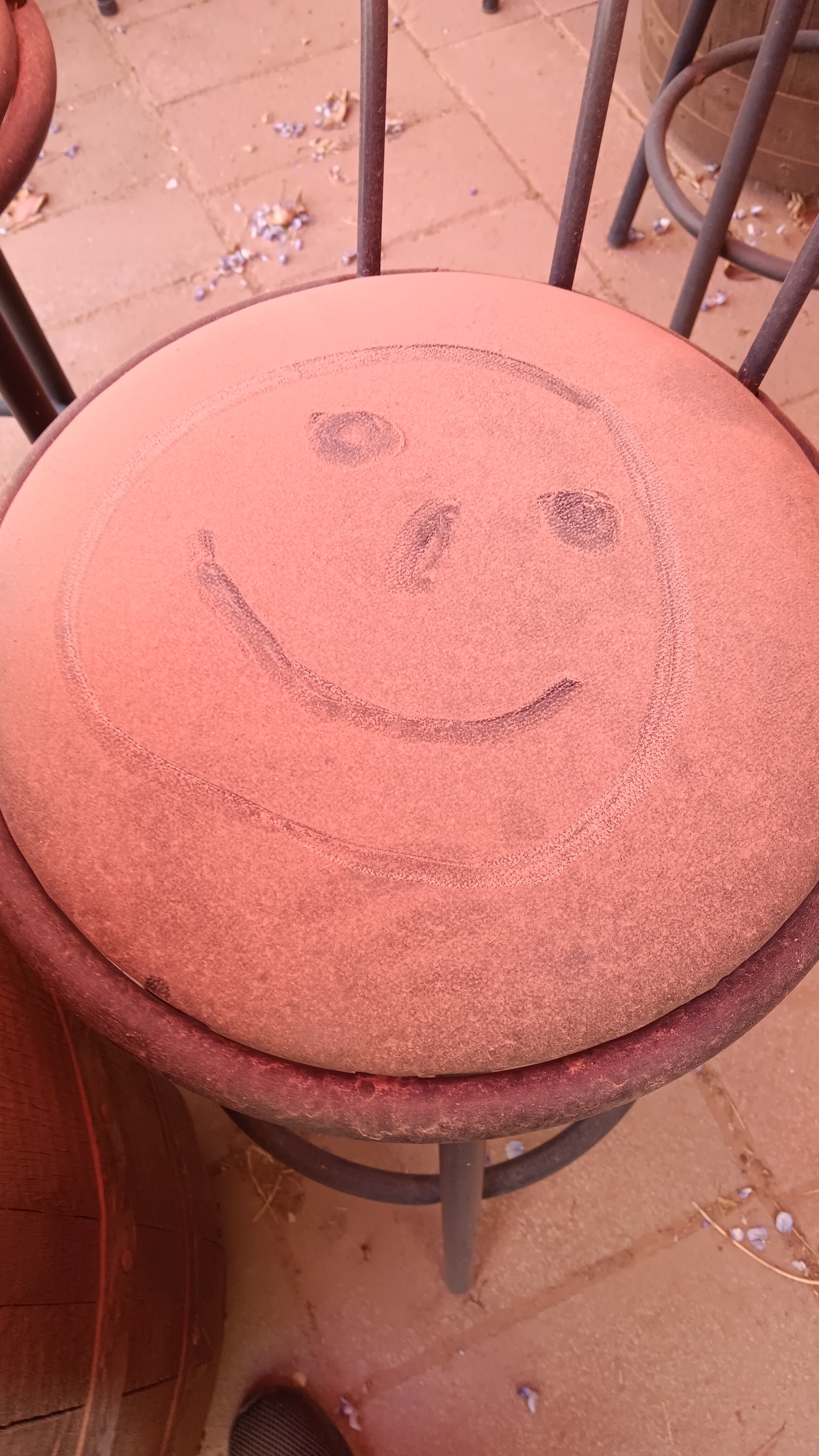 20250331_123203.jpg