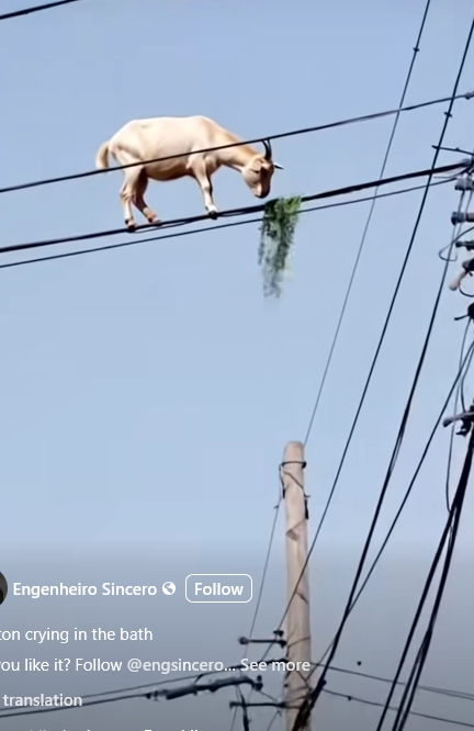 1744034913528.png