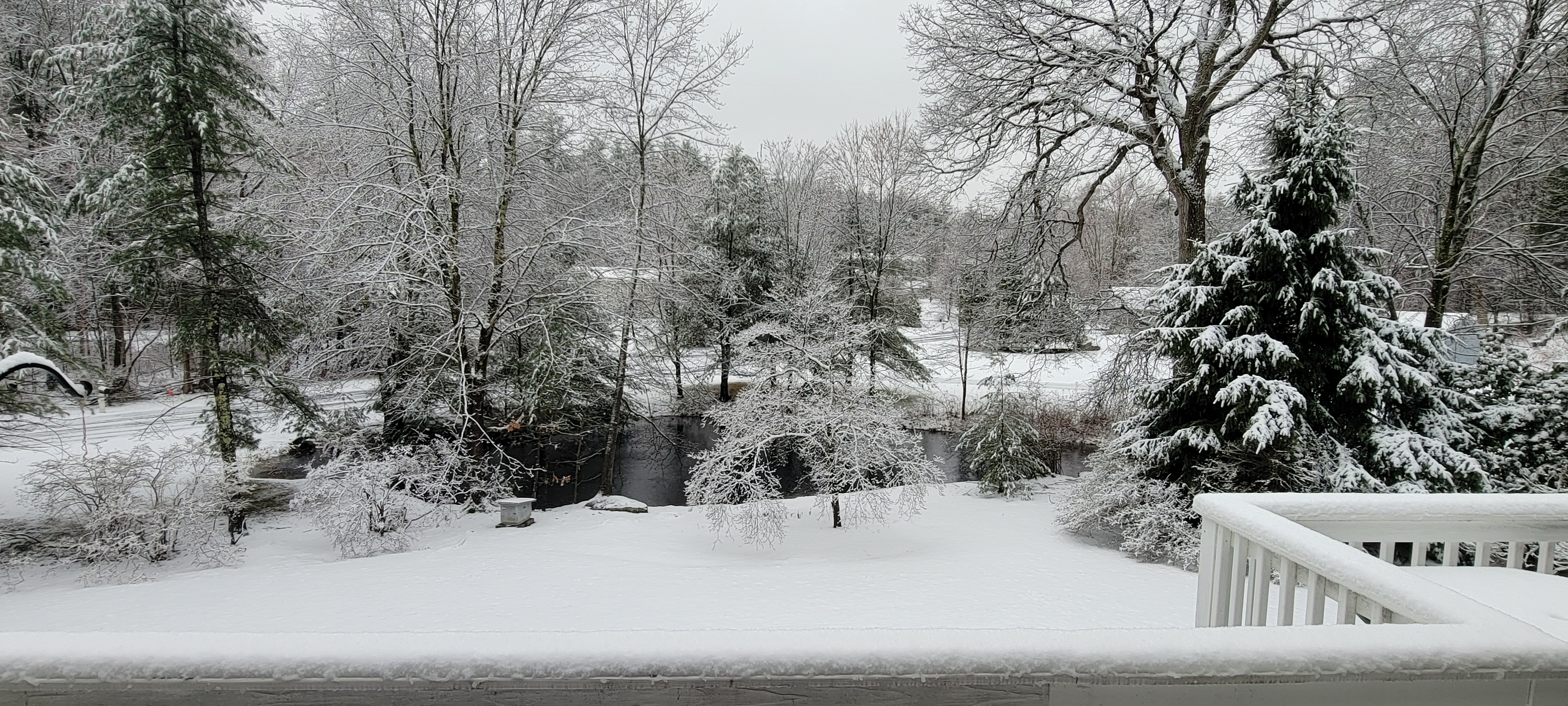 spring_delayed.jpg