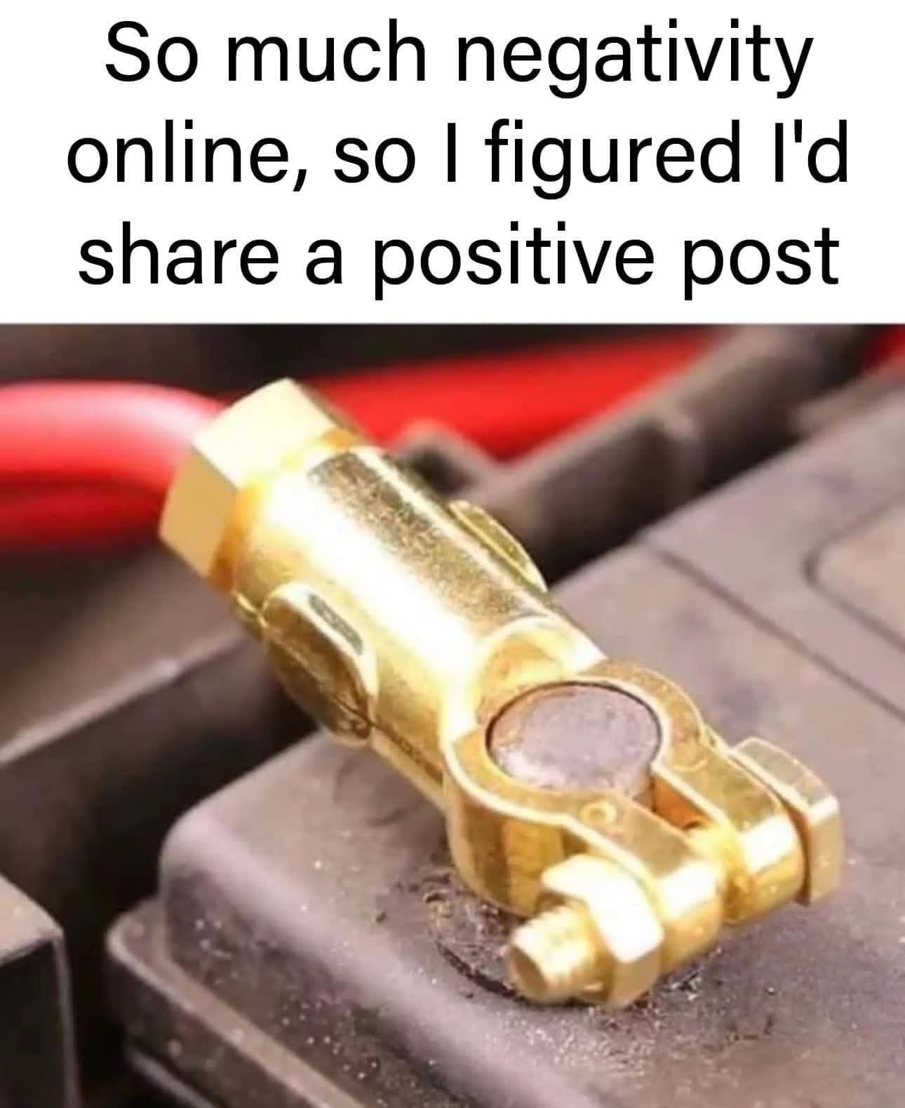 FB_IMG_1738963398324.jpg