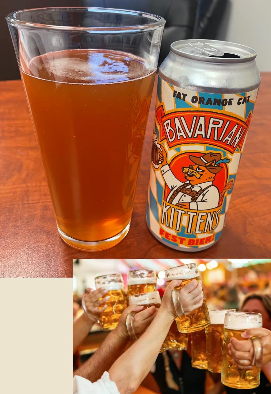 FESTBIER.jpeg