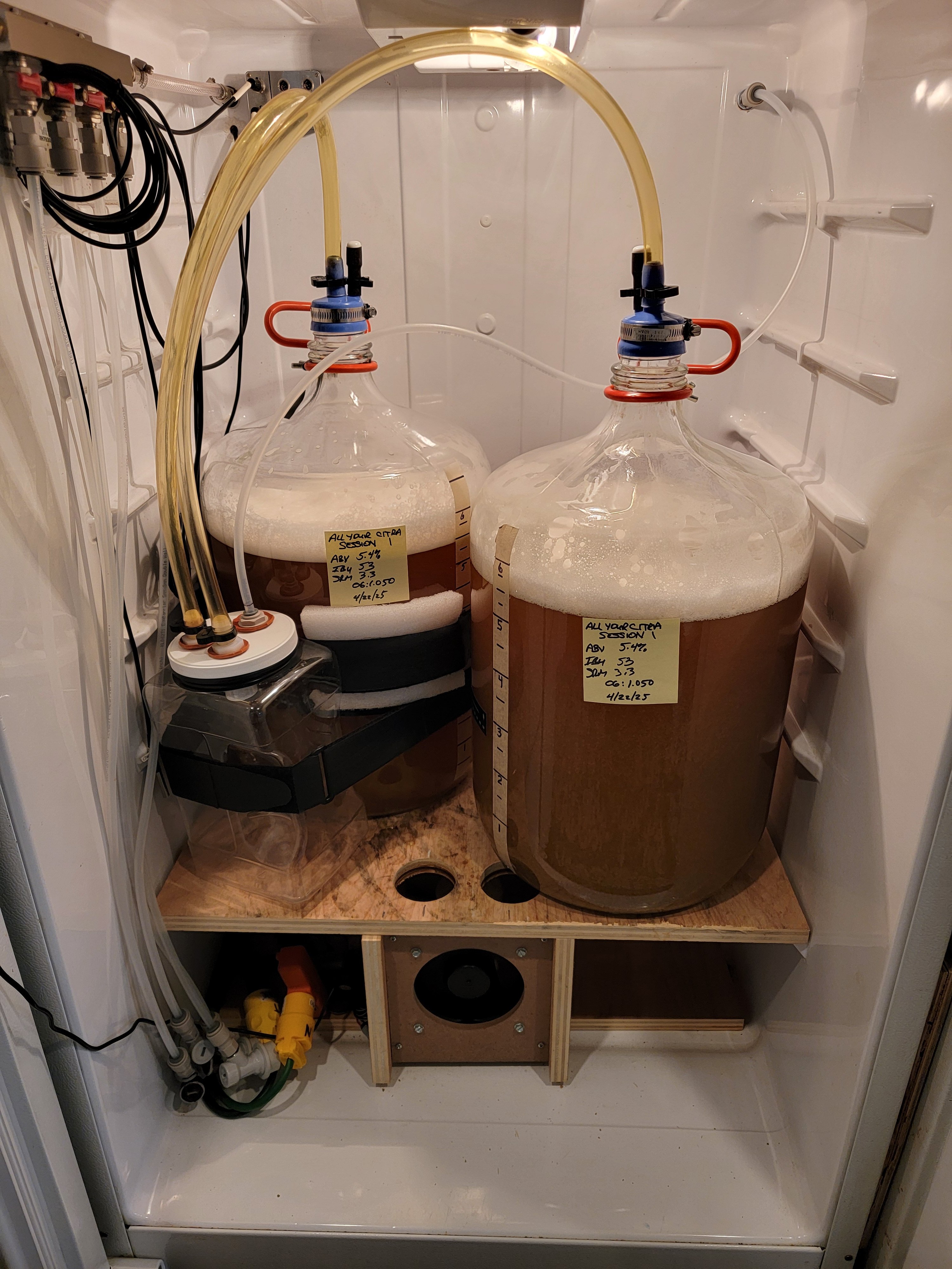 all_your_citra_session_1_6.jpg
