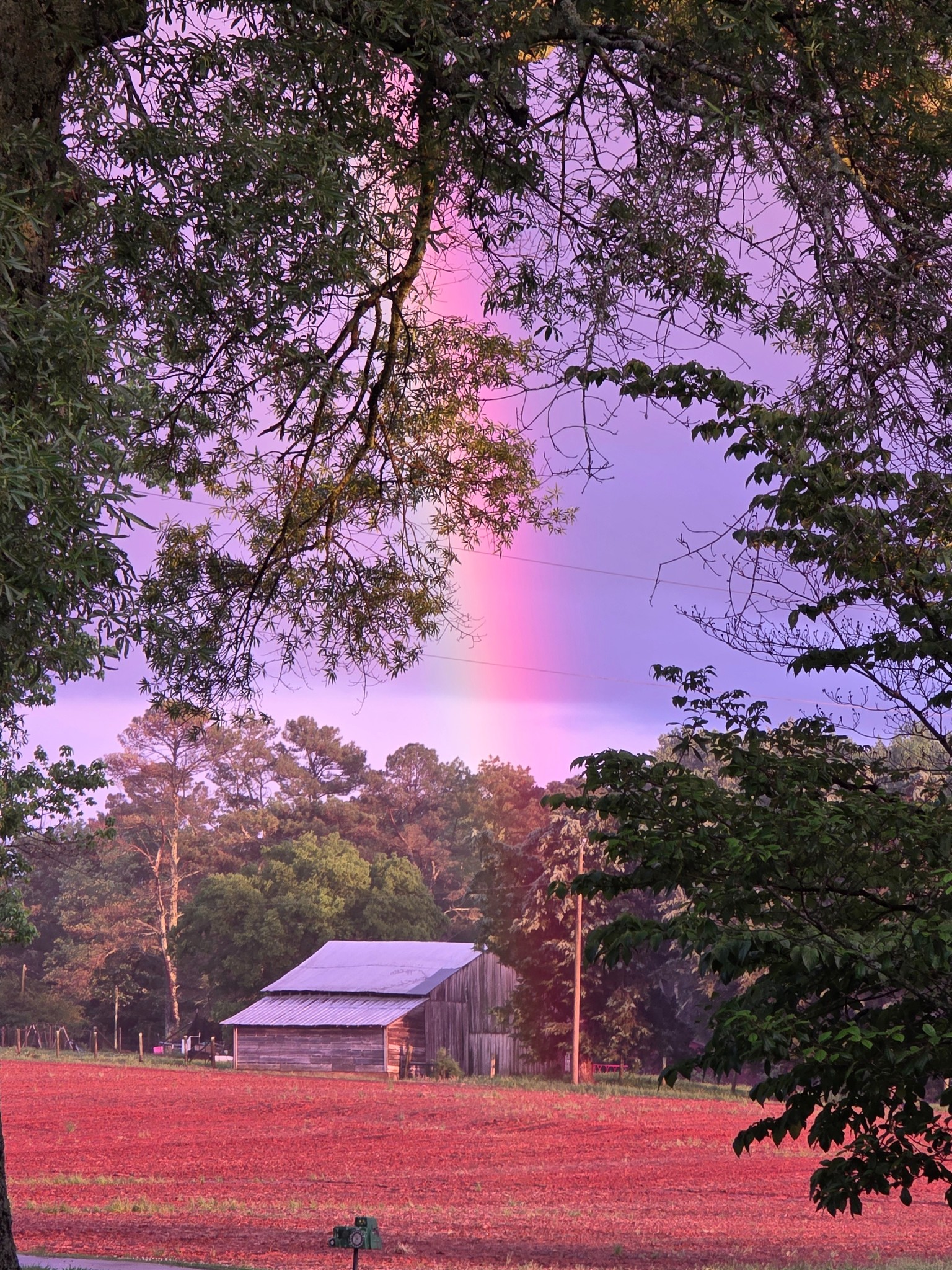 Brandy rainbow and barn 5-3-25.jpg