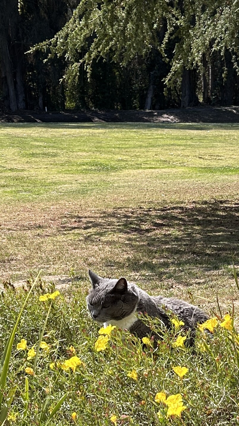 IMG_5577.jpeg